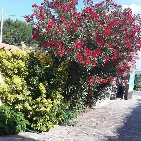 Bed and breakfast B&B Giorgia Beach Fiumicino